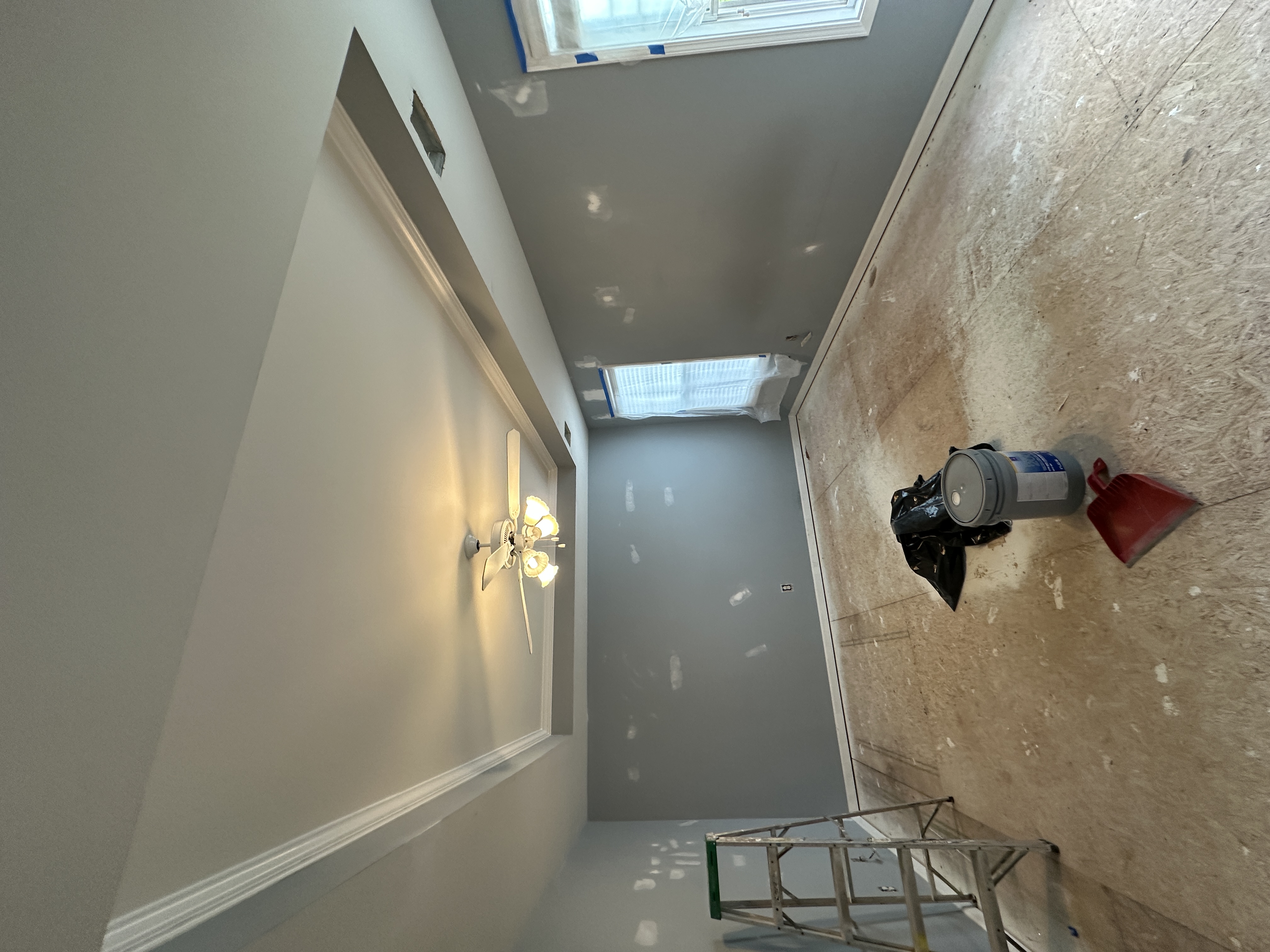 Gray walls with white tray ceiling in bedroom